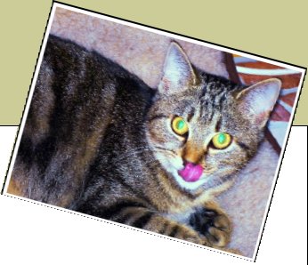Bild : Mina